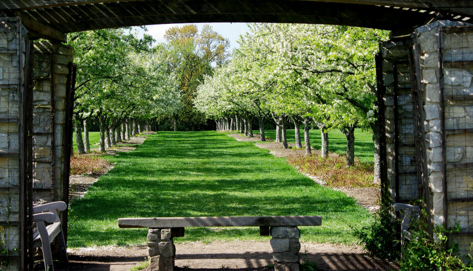 Cox Arboretum MetroPark, United States